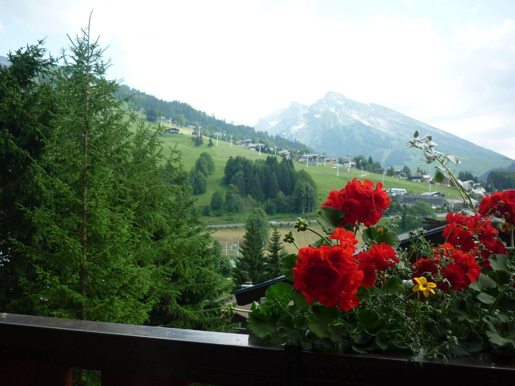 Location D'Appartements - La Residence La Clusaz Ngoại thất bức ảnh